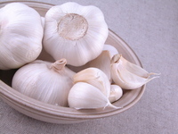 /images/staff/images/garlic.jpg