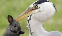 /images/staff/images/reiger.jpg